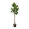 59" Green Faux Foliage Indoor Outdoor Fig Artificial Tree with Black Melamine Pot